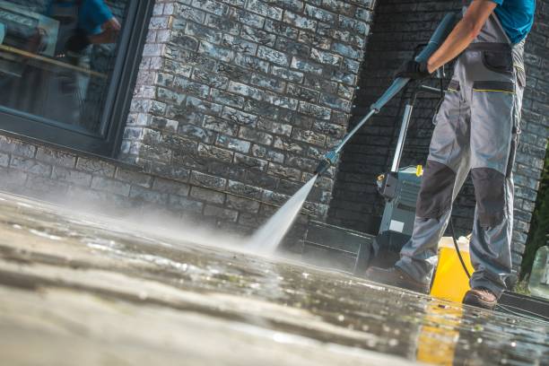 Best Spring Cleaning  in Fish Hawk, FL