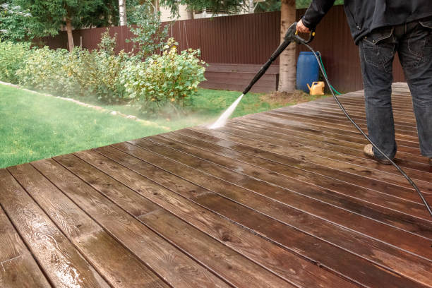 Best Rust Removal  in Fish Hawk, FL